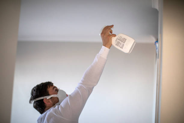 Best Office Mold Removal Services  in Bellemont, AZ