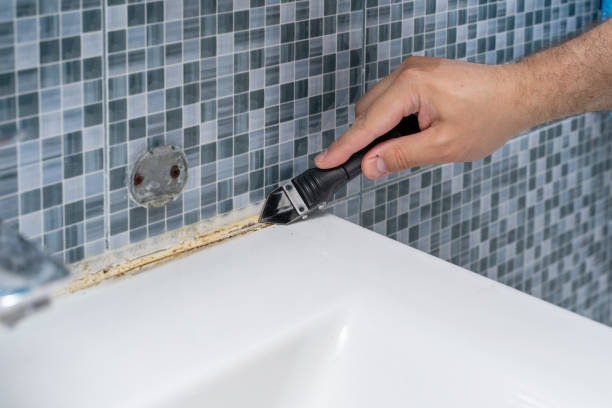 Best Mold Damage Repair  in Bellemont, AZ